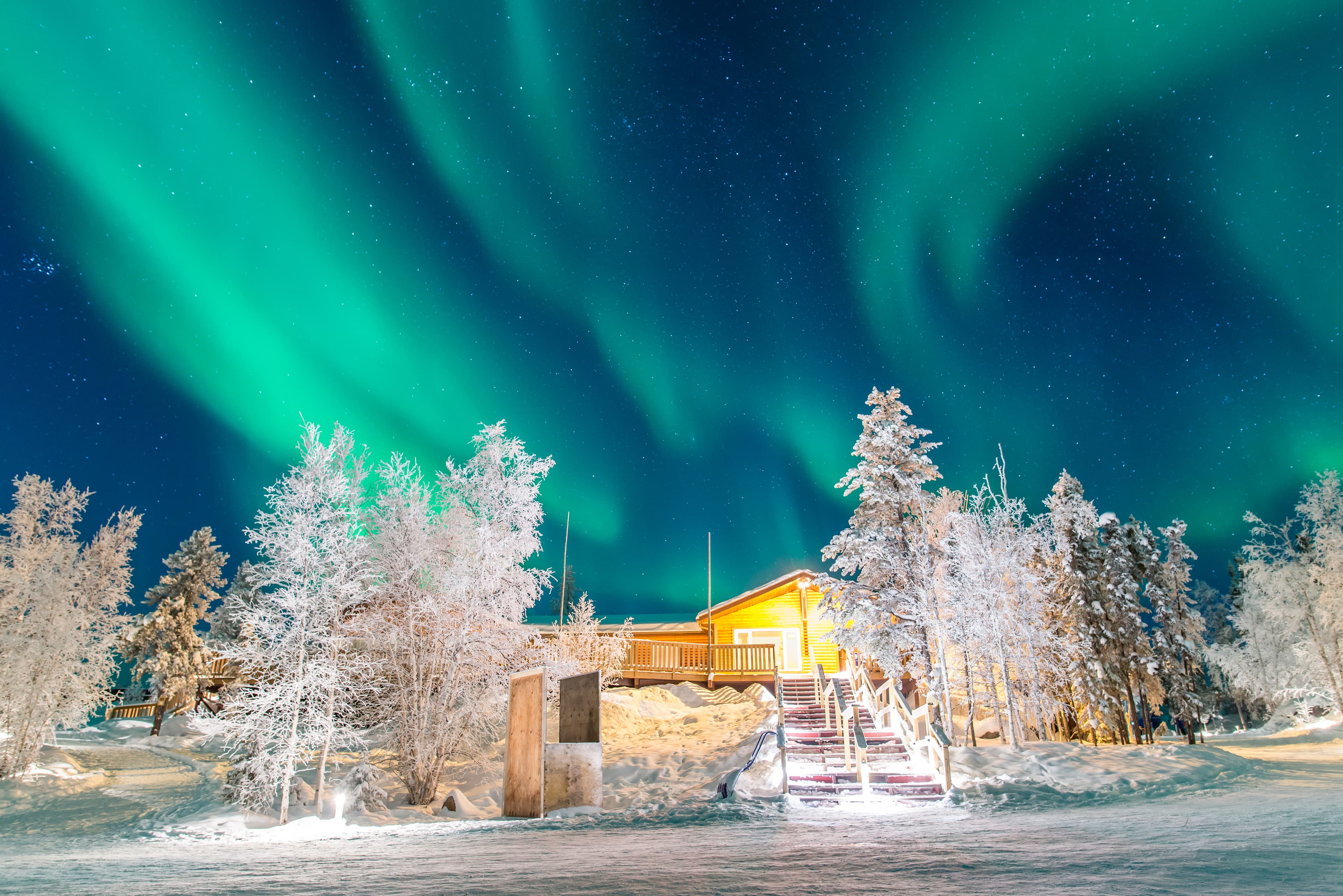関西国際空港発のイエローナイフツアー