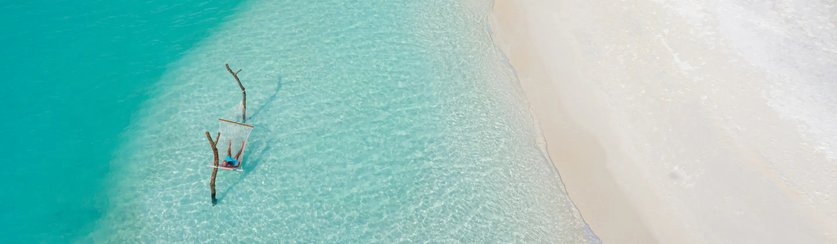 海外ツアー予約はNEWT(ニュート)