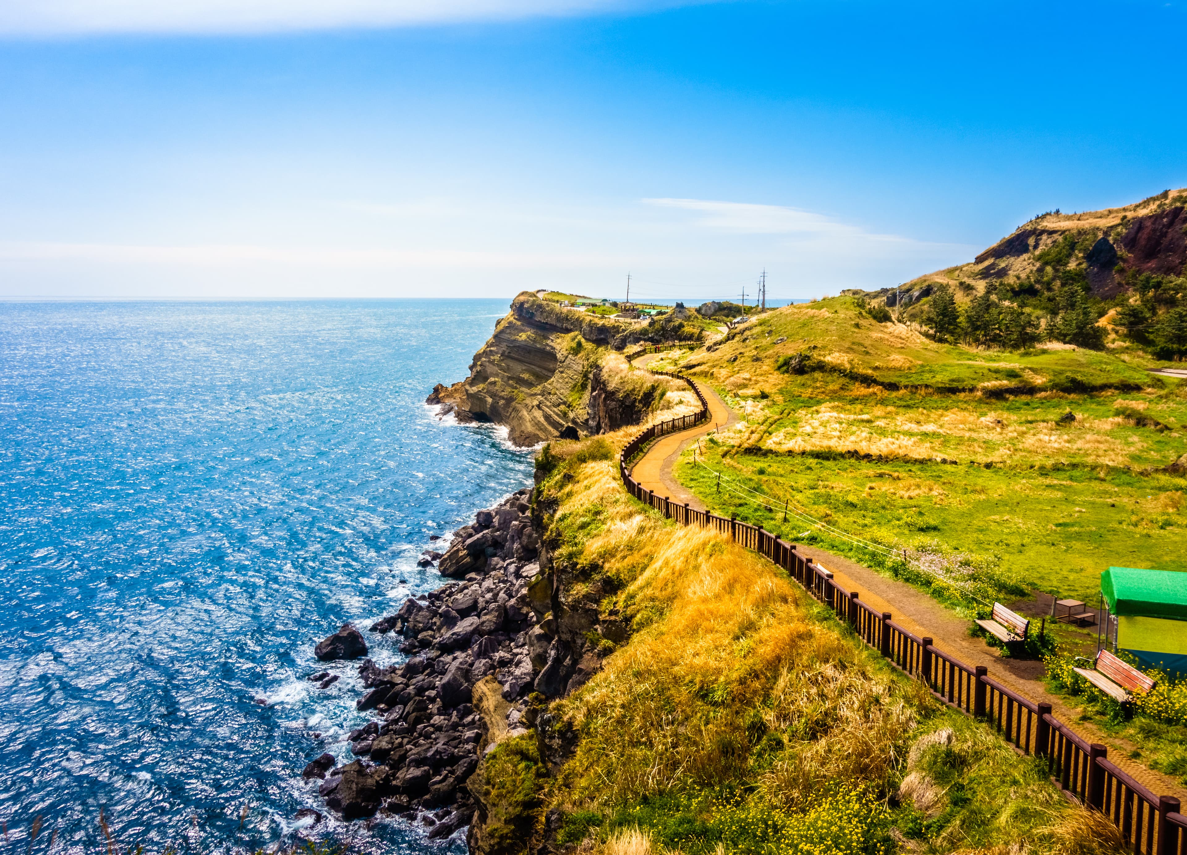 チェジュ島ツアー